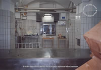 cadaver area