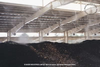 compost